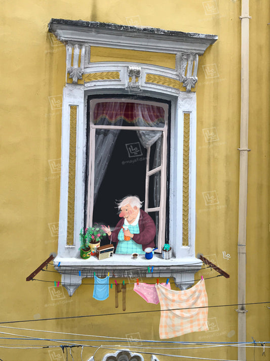 The Window