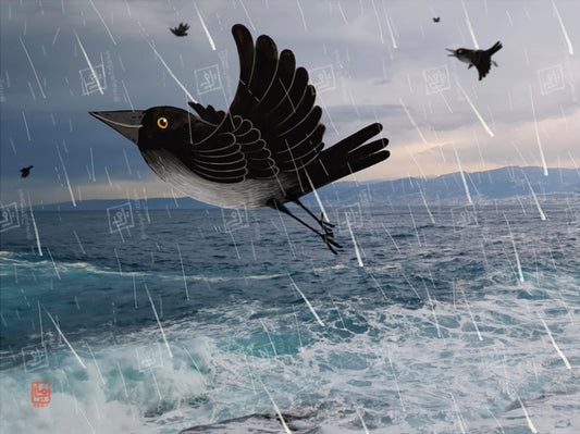 The Crows Of The City